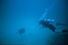 Scuba diving and snorkeling at Cao Island's marine preserve