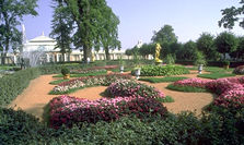Petrodvorets (Peterhoff) known for extensive parks and gardens
