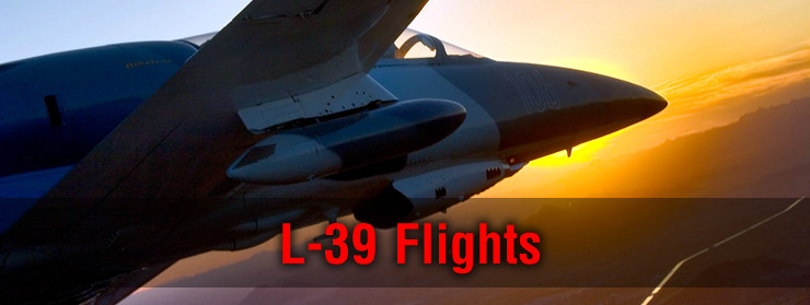 Fighter jet flights in the L-39 Albatros