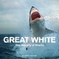 Great White by Chris Fallows