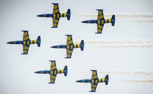 Baltic Bees flying in formation