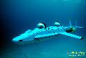 Deep Flight Aviator Submersible