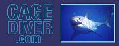 Cagediver.com - New Shark Diving Web Site