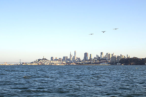 View of the San Francisco skyline from San Francisco Bay cruise