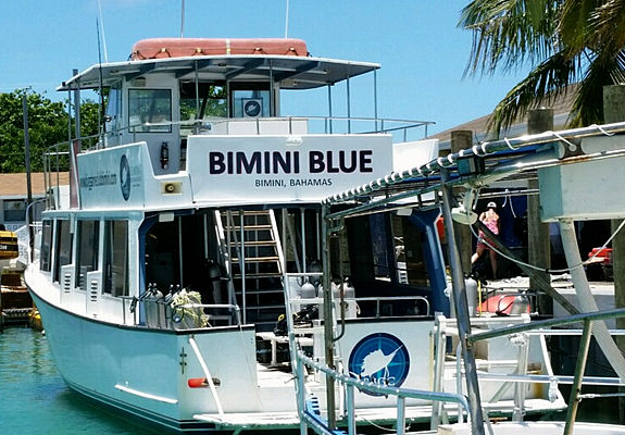 Shark diving boat Bimini Blue at the dock