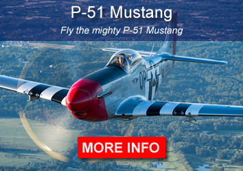 Fly the P-51 Mustang