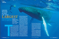 Review of Whale Encounter in Flying Adventures Magazine